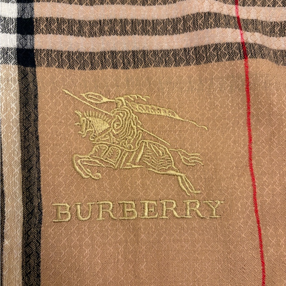 Burberry Scarf (PRICE FIRM) - Picture 2 of 8